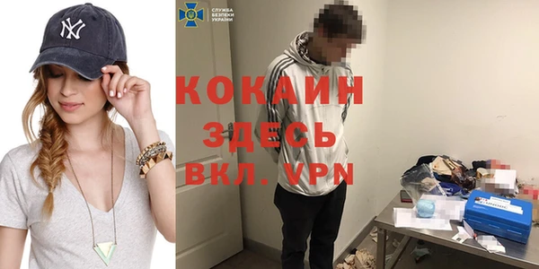винт Пересвет