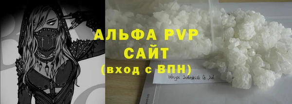 винт Пересвет