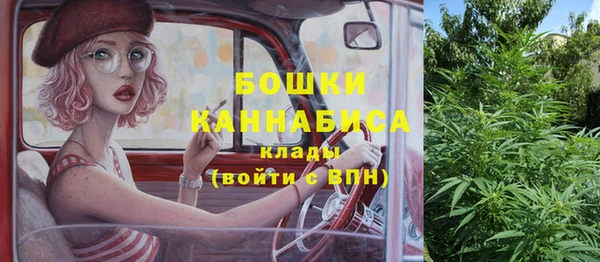 винт Пересвет