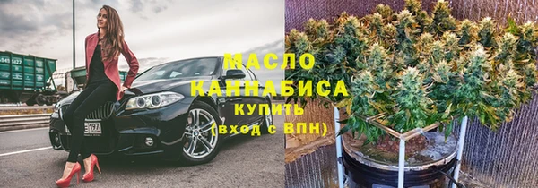 винт Пересвет