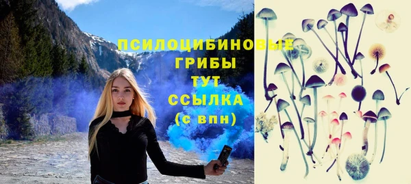 apvp Пестово
