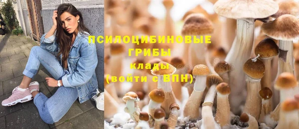 apvp Пестово