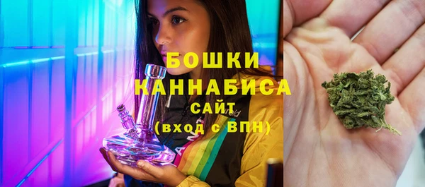 винт Пересвет