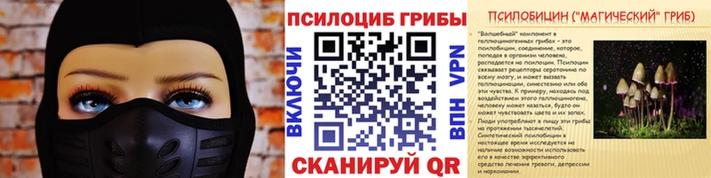 площадка наркотические препараты  Вольск  Псилоцибиновые грибы GOLDEN TEACHER 