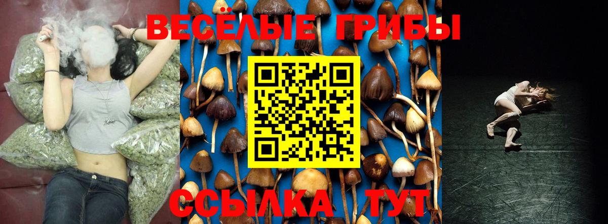 где можно купить   Галлюциногенные грибы Psilocybine cubensis  Вход с VPN  Вольск 
